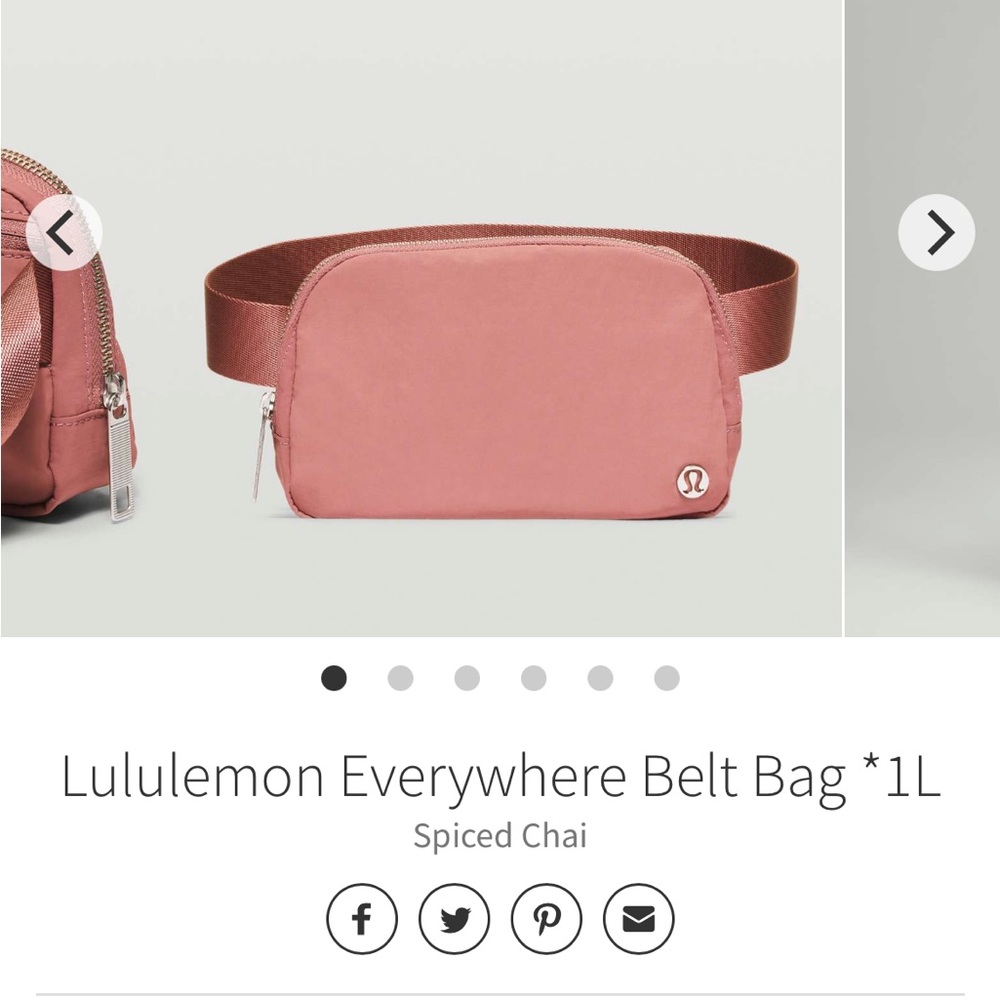 Everywhere Belt Bag